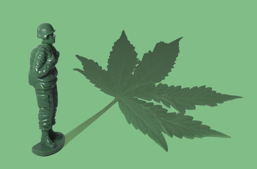 Helping veterans with PTSD using Medical Marijuana