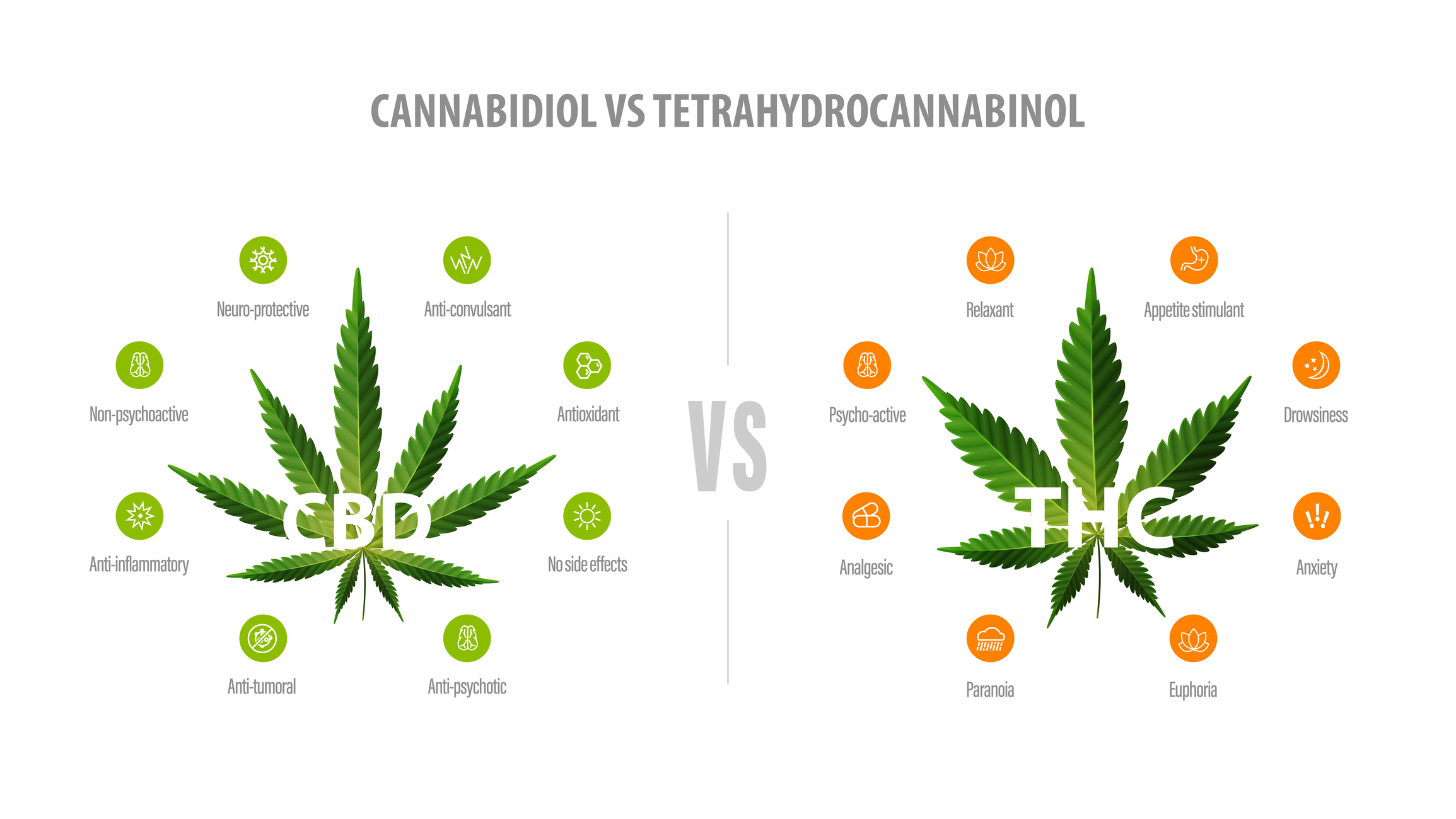is cbd better than tobacco CBDA vs. CBD: A Guide to the Differences & Benefits CBD vs. THC: The Key